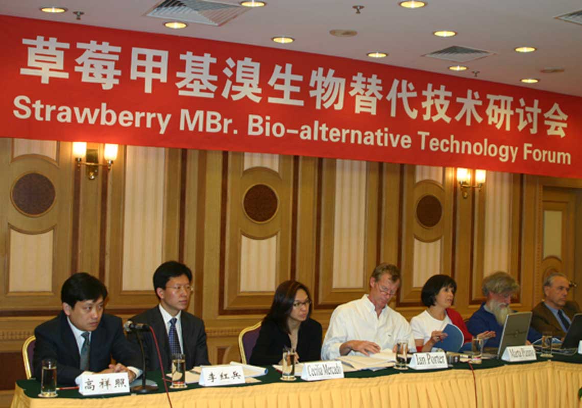 聯(lián)合國環(huán)境署、聯(lián)合國工發(fā)組織等機構出席了我公司舉行的草莓甲基溴生物替代技術(shù)研討會(huì )