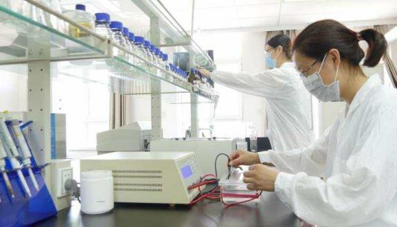 一個(gè)女企業(yè)家的現代農業(yè)之夢(mèng)——訪(fǎng)領(lǐng)先生物農業(yè)股份有限公司董事長(cháng)徐志文