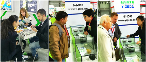 領(lǐng)先生物丨YIGEDA盛裝參展第二十屆中國國際農用化學(xué)品及植保展覽會(huì )（CAC）