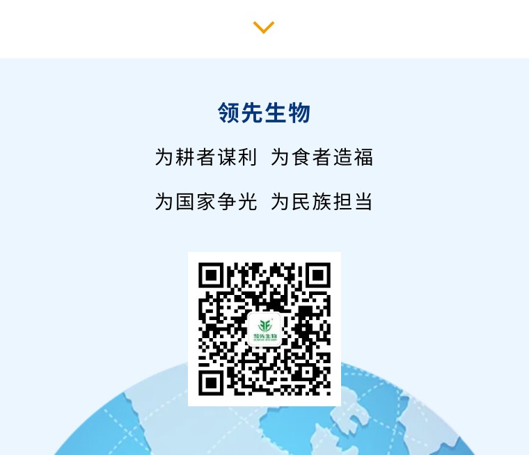 “鄉”約沽源 “薯”光無(wú)限 | 領(lǐng)先生物亮相久恩農業(yè)田間開(kāi)放日